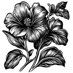 Poster - Black and white floral design, detailed hibiscus illustration, suitable for print or digital media