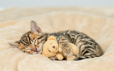 Aufkleber - Cute bengal kitten sleeps and hugs favorite toy bear on a bed at home