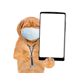 Fototapete - Smart Mastiff puppy wearing like a doctor with stethoscope on his neck showing big smartphone with white blank screen in it paw. isolated on white background