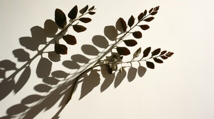 Wall Mural - leaves plant shadows