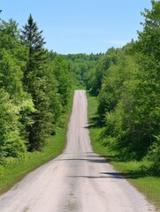 Poster - Straight road leading into a lush green forest under clear blue skies at midday. Generative AI