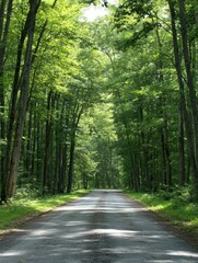 Poster - Straight road winds through dense green forest creating a tranquil escape for travelers and nature lovers alike. Generative AI