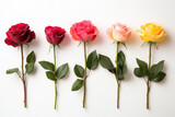 Elegant arrangement of colorful roses floral display indoor setting natural light close-up view beauty and nature combined