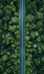 Poster - Straight road stretches into the dense green forest with vibrant treetops under bright daylight. Generative AI