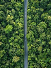 Poster - Straight road leading through a dense green forest inviting adventure and exploration along the way to natures beauty. Generative AI