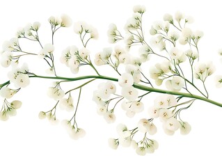 Poster - Delicate white flowers on branch, floral design, nature, decorative, for cards, invitations, background use