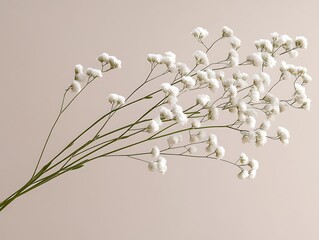 Poster - Delicate white flowers bouquet on neutral background; Studio shot;  for a floral display or product showcasing; possible use in wedding or home decor