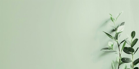 Poster - A minimalist design featuring a light pistachio background, Smooth textures and refreshing tones, Modern minimalist style