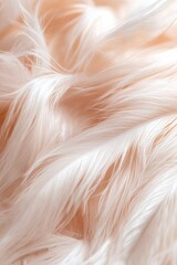 Poster - Softly backlit fur strands appear to float in the air, creating a captivating and dreamlike atmosphere. The composition highlights the delicate textures and ethereal quality
