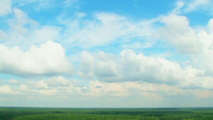 Wall Mural - Sky above a green forest. White cumulus clouds move above the trees leaving shadows on the ground.