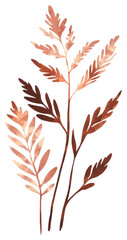 Wall Mural - PNG Aesthetic fern leaf art illustration illustrated.