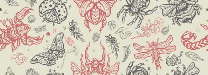 Insects background. Stag beetle, bee, spider and butterfly
