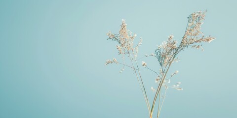 Aufkleber - A minimalistic composition with a light sky blue backdrop, Subtle patterns and minimalistic elements, Modern minimalist style