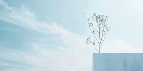 Aufkleber - A minimalistic composition with a light sky blue backdrop, Subtle patterns and minimalistic elements, Modern minimalist style