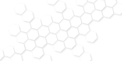 Poster - abstract background with hexagon, modern abstract polygonal pattern, wire mesh material made of a ne