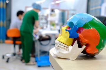 Wall Mural - Woman treats teeth at the dentist cabinet. Dental treatment process. Dental prosthetics concept.