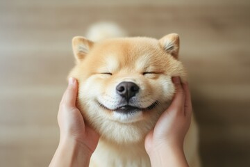 Poster - Joyful Pet Portraiture in Soft Natural Light Fluffy Puppy Happiness for Modern Home Decor and Social Media Engagement - Capturing Playful Moments in Lifestyle