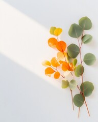 Aufkleber - Serene Botanical Design Contemporary Eucalyptus and Autumn Leaves on White - Mindful Living and Wellness Branding for Modern Lifestyle and Sustainable Content Creation