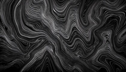 Poster - abstract black and white fluid lines, artistic swirling curves with graphic elegance for modern design projects