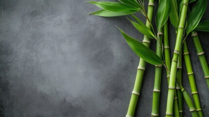 Aufkleber - A serene composition of lush green bamboo stems with crisp leaves, laid on a smooth gray background, ideal for a modern nature theme