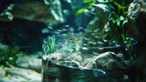 An aquarium tank showcasing a school of small fish swimming together, surrounded by natural underwater rocks and plants, creating a peaceful aquatic scene