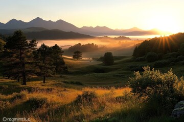 Wall Mural - Sunrise over a misty valley surrounded by mountains with golden sunlight illuminating the landscape