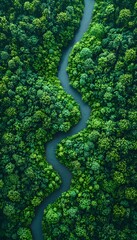 Poster - Abstract aerial view of a winding river through a lush green forest, surreal hues, dynamic patterns, vibrant contrast, high perspective Cinematic Scene