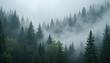 © esta - Misty evergreen forest