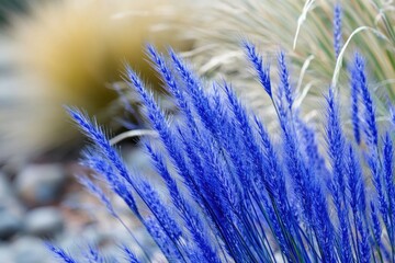 Wall Mural - A close-up shot of a bunch of blue flowers