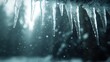 © svastix - Rays of winter light illuminate hanging icicles, creating a captivating spectacle of nature's artistry and profound beauty in a snowy forest environment, pure and peaceful.