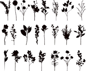 Wall Mural - silhouette flowers, spring, field set on white background vector