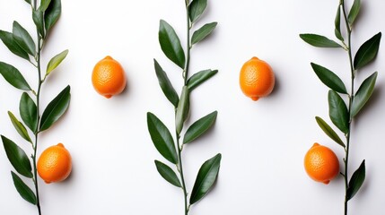 Wall Mural - Fresh Citrus Fruits and Green Leaves Arranged Aesthetically on a White Background