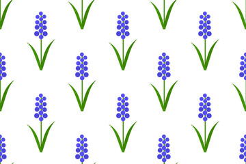 Wall Mural - Grape hyacinths spring flowers seamless pattern. Blue muscari endless pattern. Vector illustration.