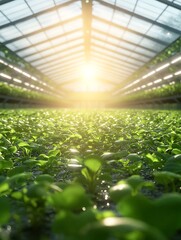 Poster - A vibrant greenhouse filled with lush green plants, illuminated by warm sunlight, showcasing a thriving environment for growth and cultivation.