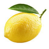 lemon isolated on white background.