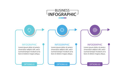 Wall Mural - infographic label design template with icons and 3 options or steps. vector illustration