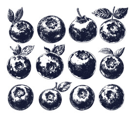 Wall Mural - Blueberries Icons Set Black and White Linocut Print Style Fresh Blueberries Fruit Berries Healthy Snack Natural Organic Food Botanical Illustrations Monochrome Art Healthy