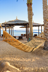 Wall Mural - relaxing in a hammock on the beach by palm trees under a clear blue sky in a tropical paradise