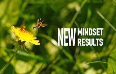 Poster - Motivational quote - New mindset new results is shown using the text