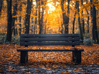 Wall Mural - autumn forest bench surrounded by vibrant fall foliage and warm sunlight