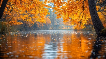 Wall Mural - Vibrant Autumn Forest Riverbank with Drifting Golden Leaves