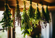 © Olga - bunches of different medicinal herbs are dried on a rope in a garden shed