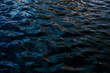 © ADDICTIVE STOCK - Captivating water textures at Playa Blanca Port, Lanzarote