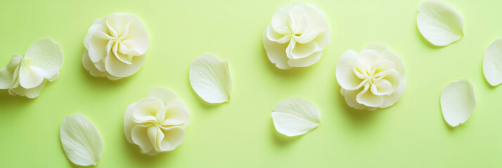 Poster - Sakura petals arranged in a spiral pattern on a vibrant lime green background
