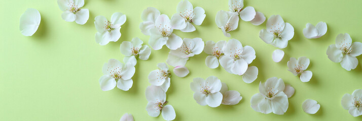 Poster - Spiraling sakura petals creating a delicate pattern on a bright lime green background