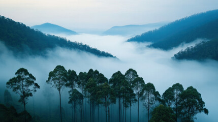 Poster - Air Pollution, A forest shrouded in thick haze from industrial pollution, captured in high fidelity for visual impact.