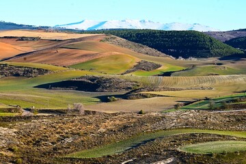 Wall Mural - los campos de cultivo y las cumbres nevadas