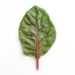 Wall Mural - A solitary Swiss chard leaf, isolated with a transparent background, produced by image