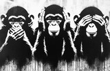 Three Wise Monkeys Apes chimp isolated on white background. See hear say concept. 3 monkey sit with closed eyes, mouth ears.  blind, deaf mute animal illustration. no see, hear, speak evil