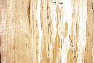 Wood plank texture for background